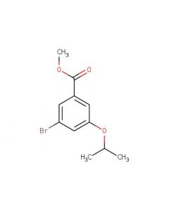 Astatech METHYL 3-BROMO-5-ISOPROPOXYBENZOATE; 1G; Purity 95%; MDL-MFCD17926492